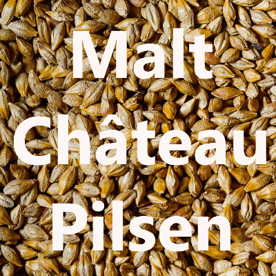 Malt en grains Malt Château Pilsen