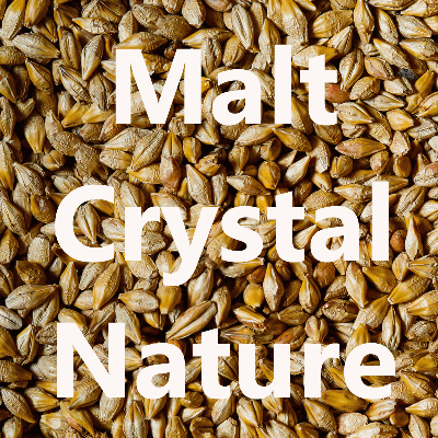 Malt en grains Malt Crystal Nature