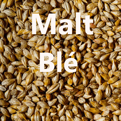 Malt en grains Malt Blé Froment