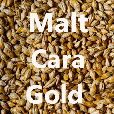 Malt en grains Malt Cara Gold