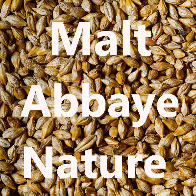 Malt en grains Malt Abbaye Nature