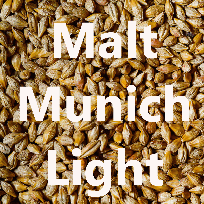 Malt en grains Malt Munich Light