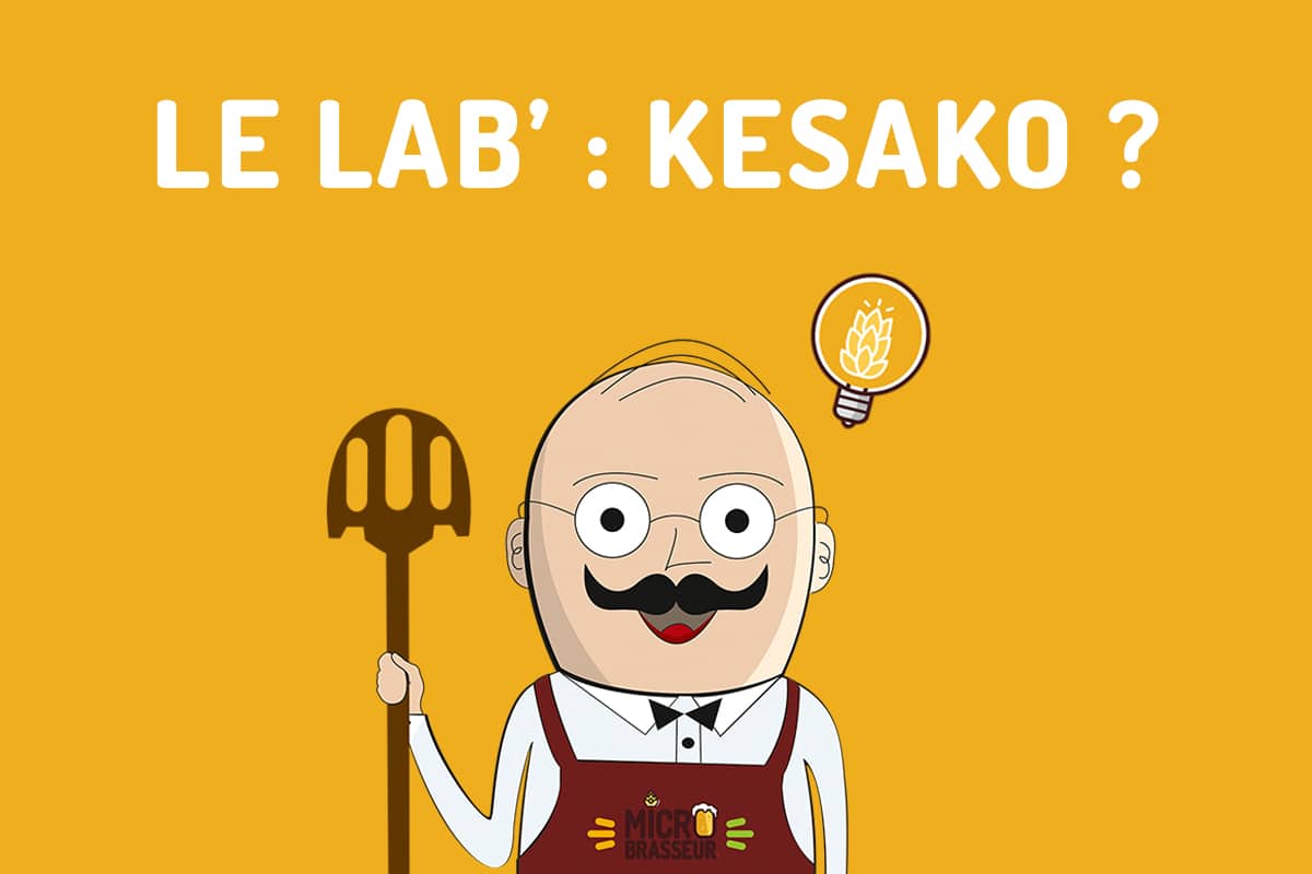 Le lab microbrasseur kesako