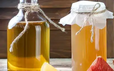 Faire du kombucha avec son matériel de brasseur amateur