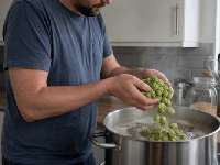 Brasser avec du houblon frais : le guide