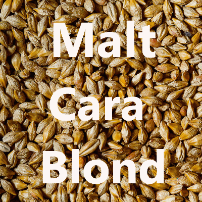 Malt Cara <br>Blond 